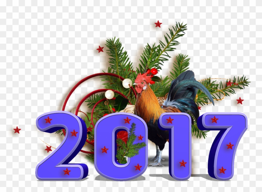 Chelo - Illustration Clipart #3614900