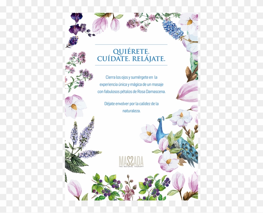 Photo Taken At Zentrestetic By Business O - Floral Design Clipart