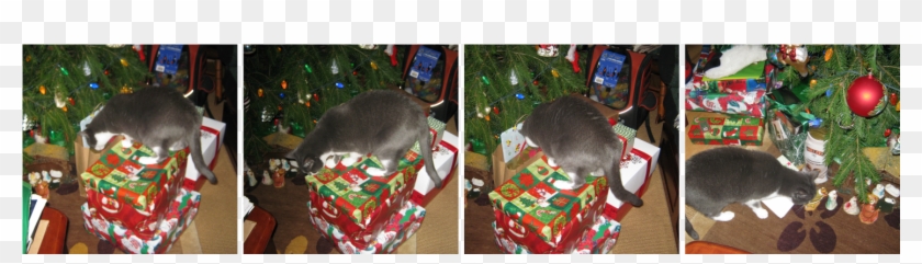 I Can't Say It Enough I Had A Great Christmas I Got - Christmas Tree Clipart #3616830