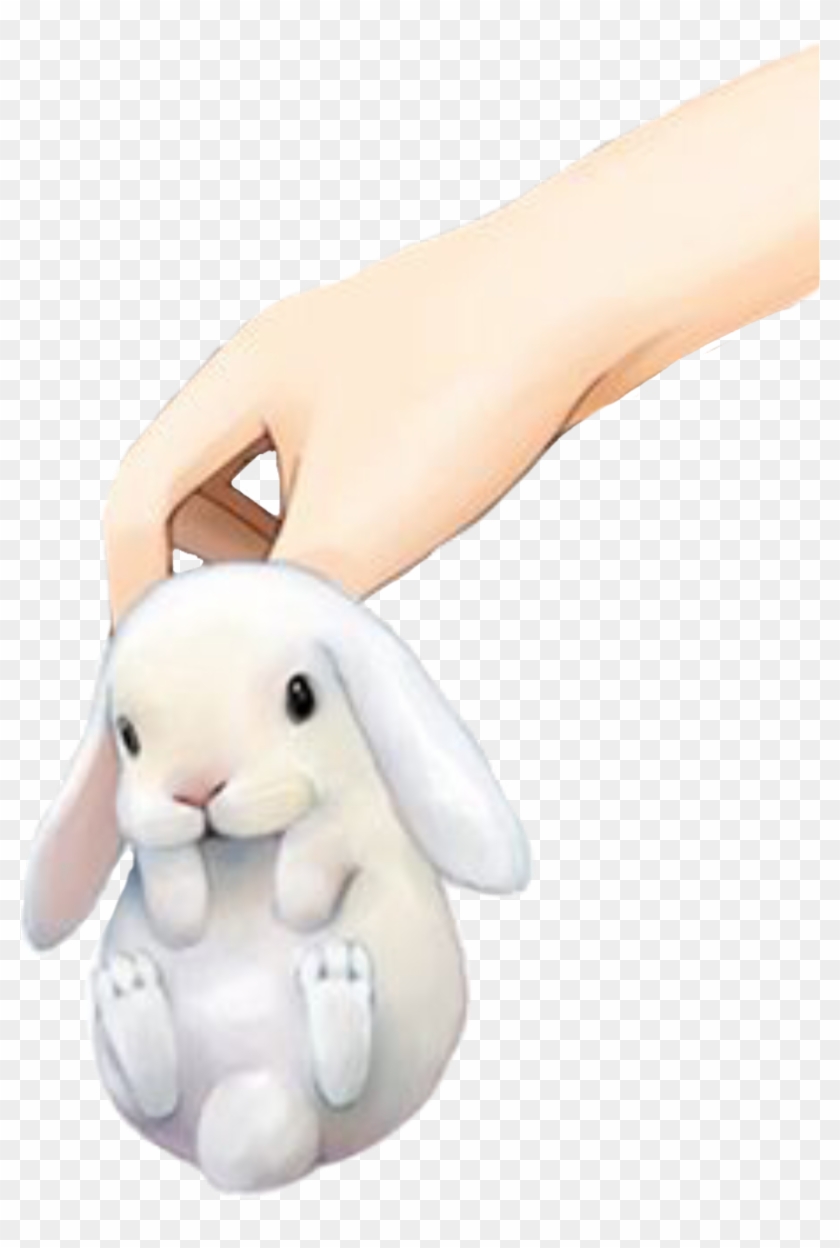 #bunny #baby #rabbit #hand #freetoedit - Domestic Rabbit Clipart