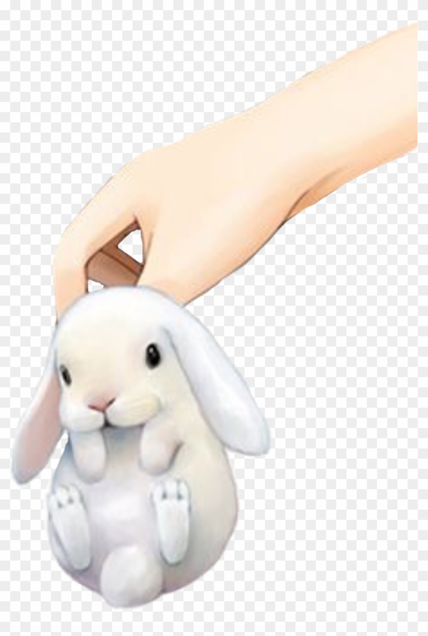 #bunny #baby #rabbit #hand #freetoedit - Domestic Rabbit Clipart #3617924