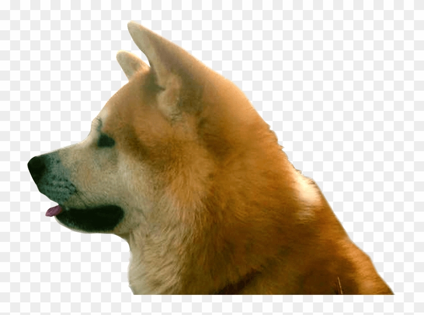 Interested Register For The Next Litter - Dog Yawns Clipart #3618003