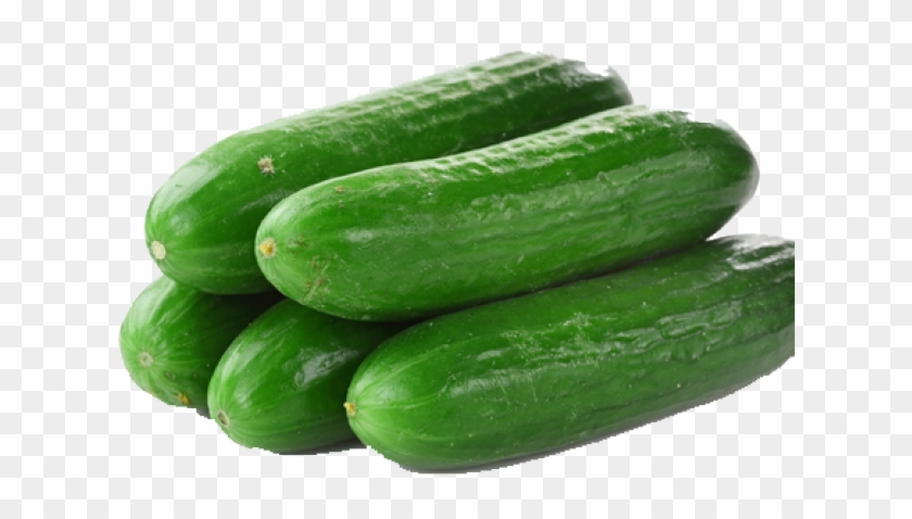 Cucumber Png Transparent Images - Cucumber Lebanese Clipart