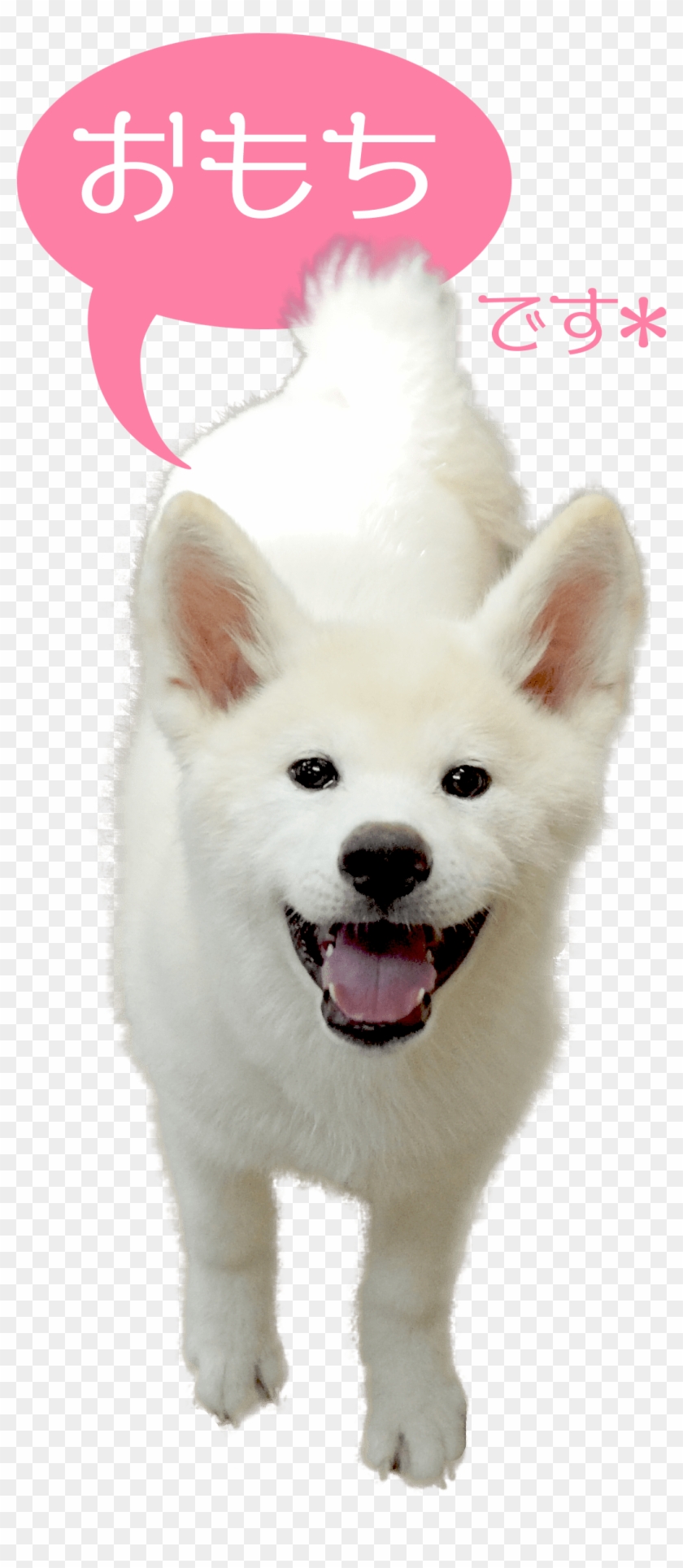 The Dog Contact Corps Omochi That I Got Tired Of - Dog Yawns Clipart #3618683