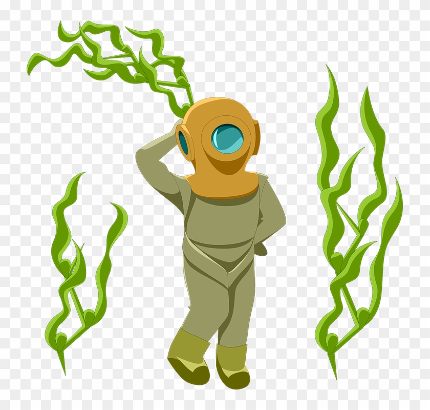Weed, Tang Og Tare, Undervanns, Dykker, Posering - Gambar Animasi Rumput Laut Clipart