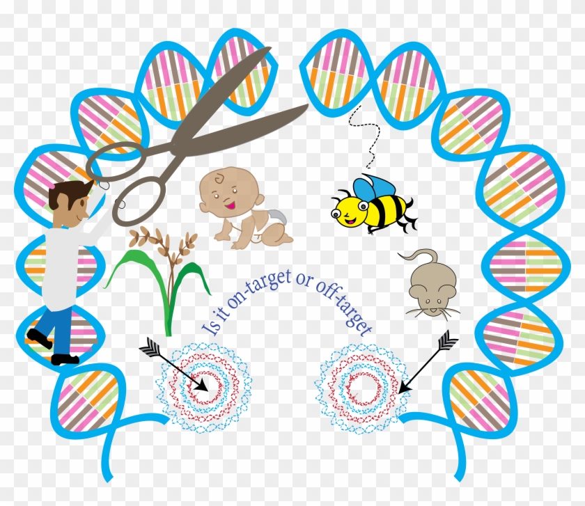 Professor Bradley's Group In Wellcome Trust Sanger Clipart