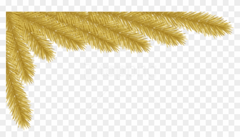 Free Png Christmas Gold Pine Corner Png - Clip Art Corners Free Christmas Transparent Png