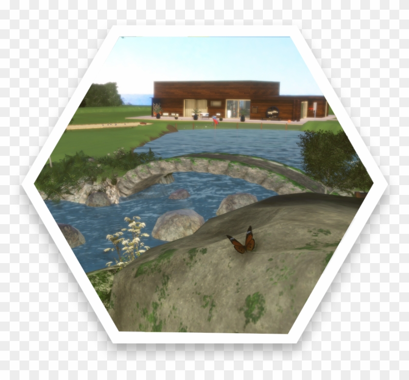 Good Cells - Fish Pond Clipart