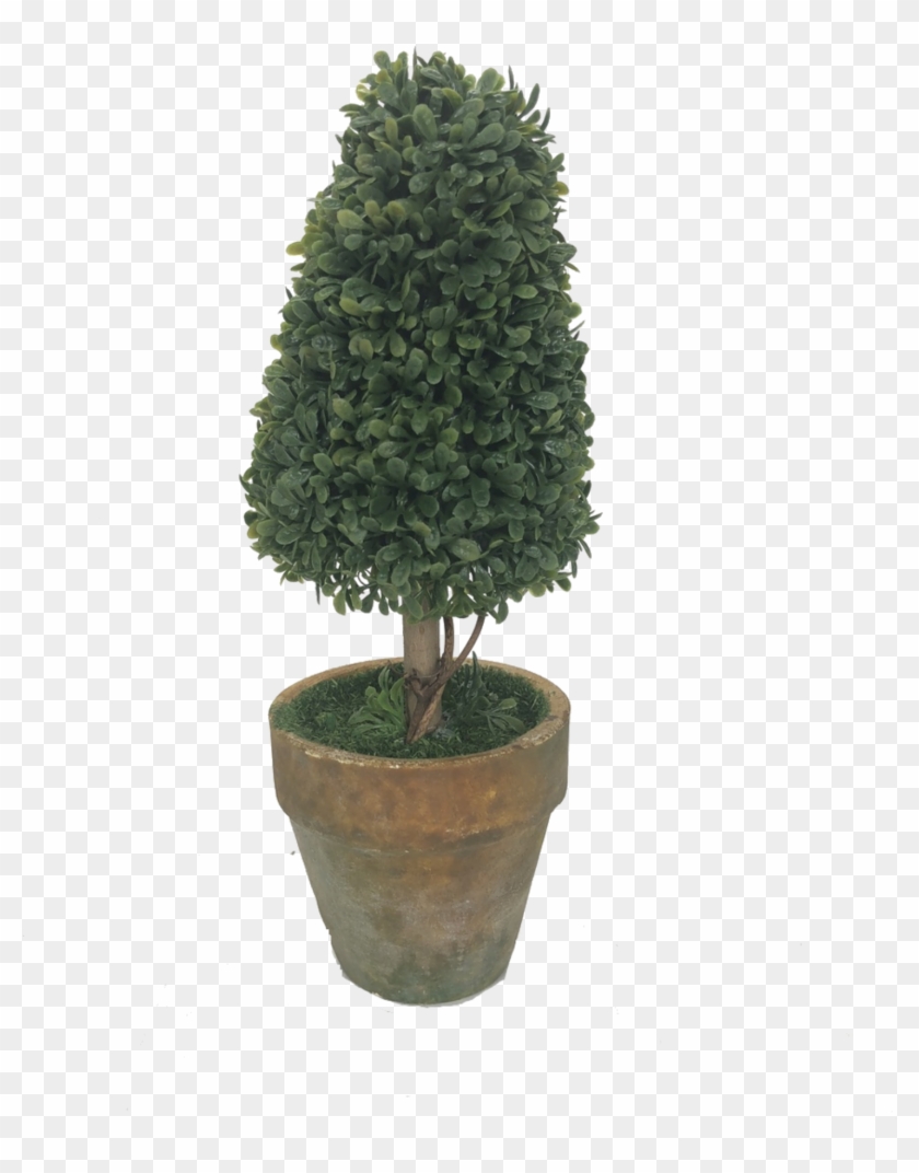 Potted Topiary Tree , Png Download - Flowerpot Clipart #3621101