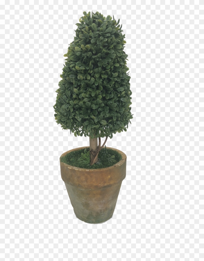 Potted Topiary Tree , Png Download - Flowerpot Clipart
