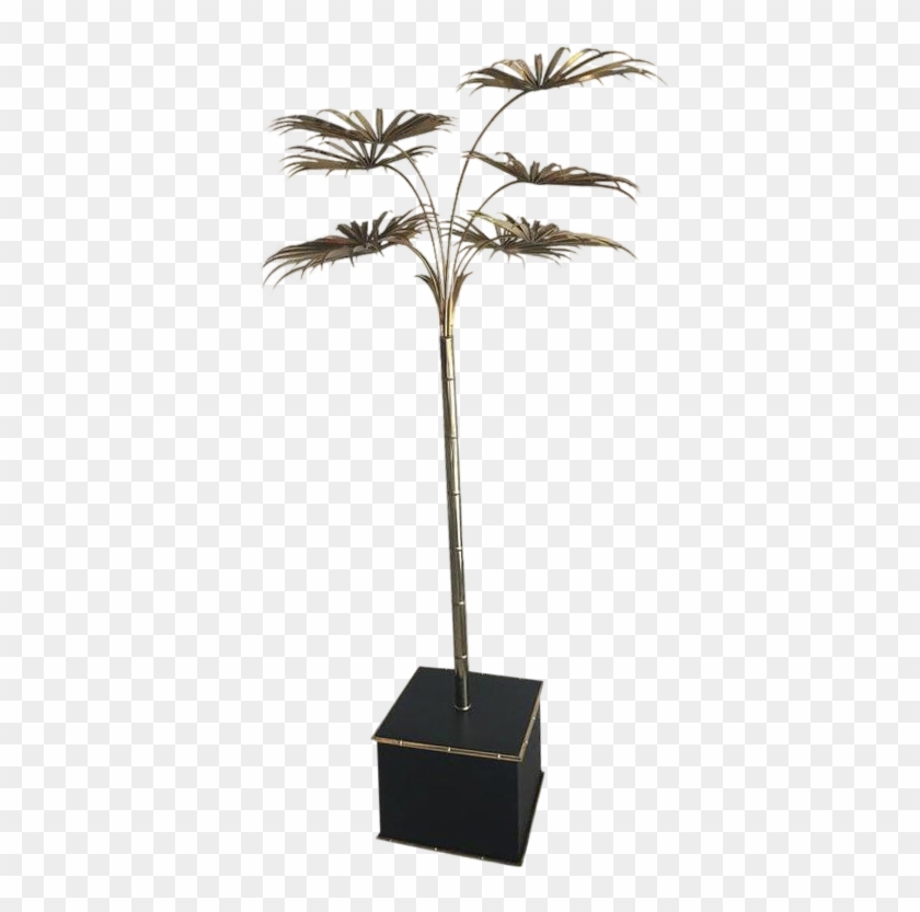 Italian Gold Palm - Roystonea Clipart