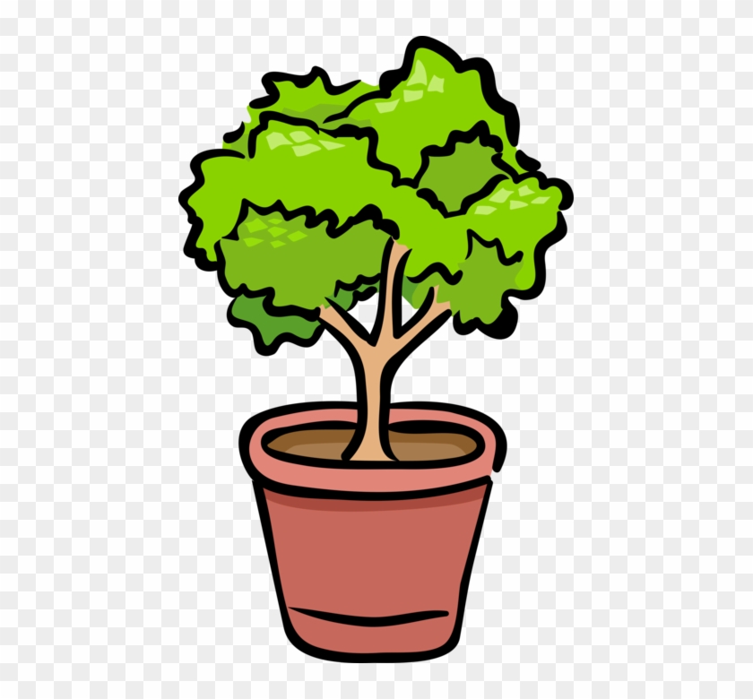 Vector Illustration Of Potted Plant Shrub Or Bush - Animated Plants Clipart