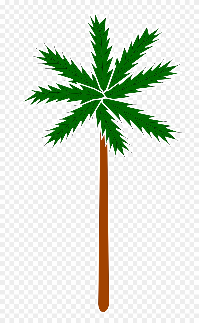 Palm Plant Stylised Tree Png Image - Palm Trees Stylised Clipart