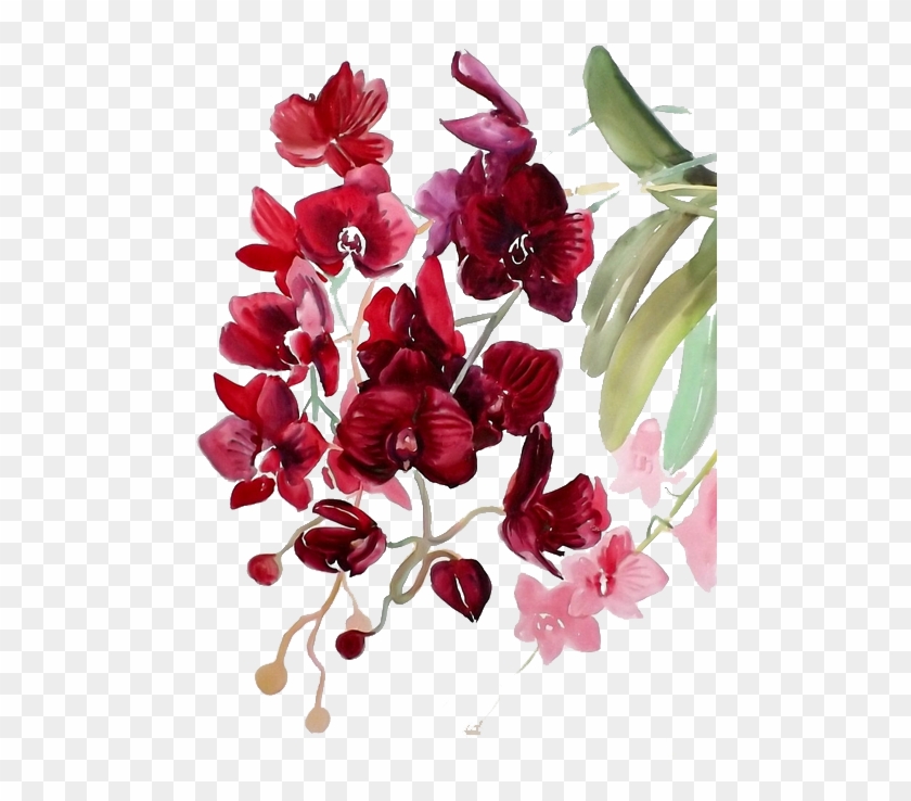 Orchid Transparent Watercolor - Watercolor Painting Clipart