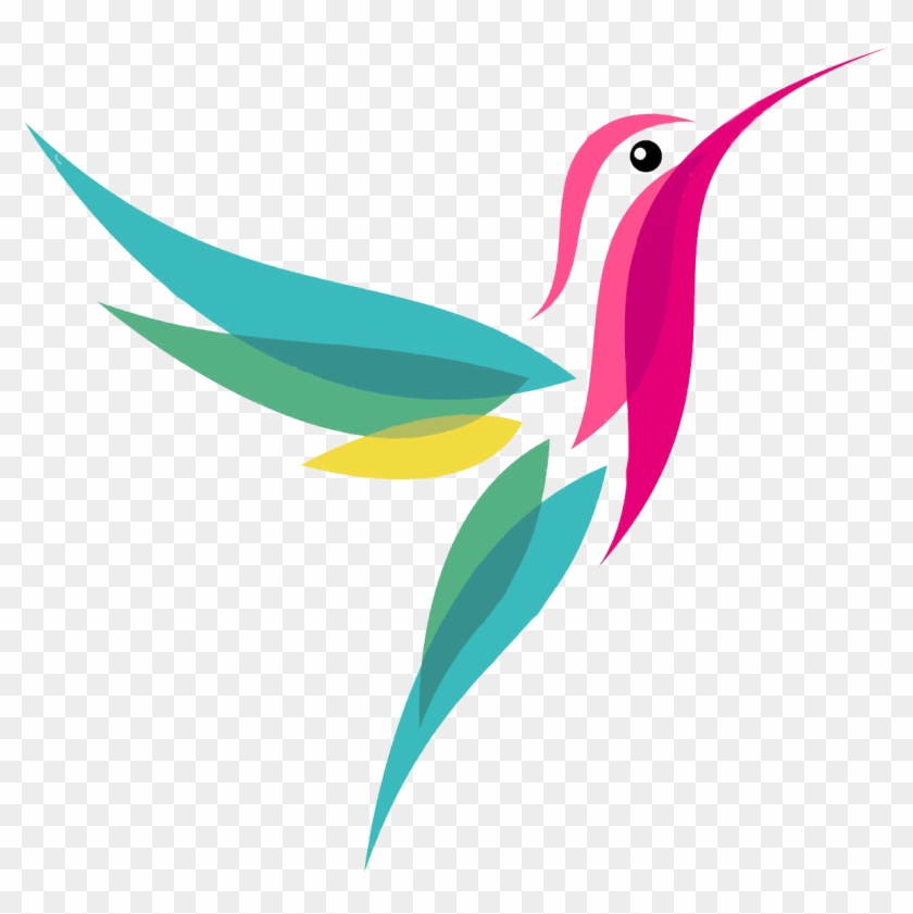 Colibri Png - Humming Bird Graphic Clipart #3621969