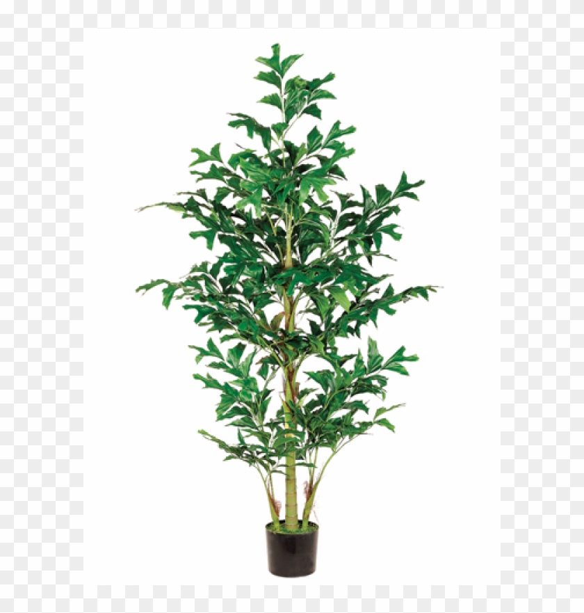 6' Fishtail Palm Tree With 370 Leaves In Pot Green - Houseplant Clipart #3621982