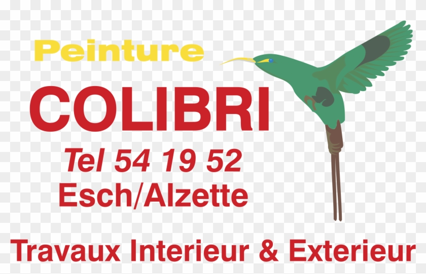 Peinutre Colibri Logo Png Transparent - Gandhi Libreria Clipart #3622277