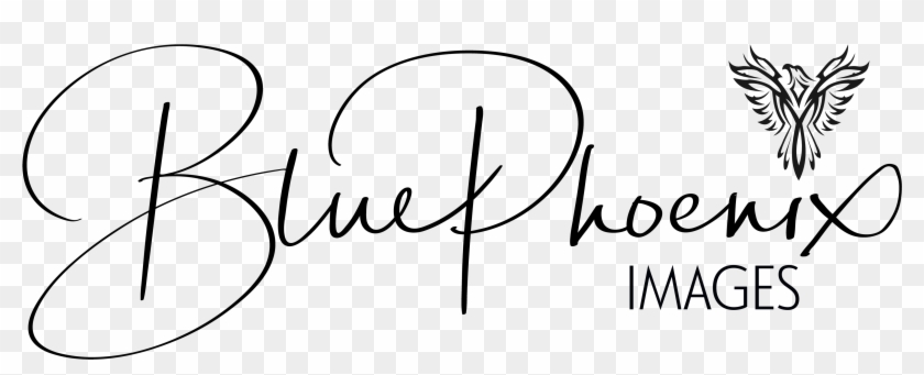 Darci Young - Calligraphy Clipart