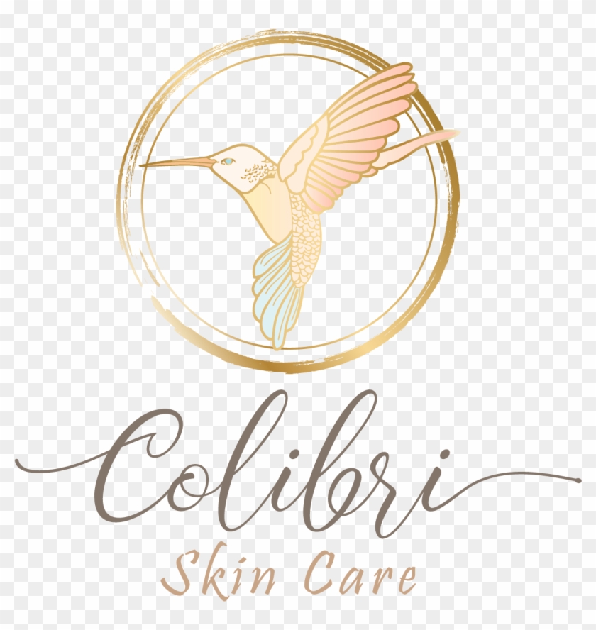 Hummingbird Logo Idea Clipart