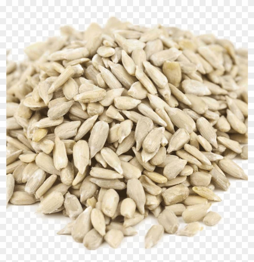 Sunflower Seeds Png Photo - Sunflower Seed Clipart #3622453
