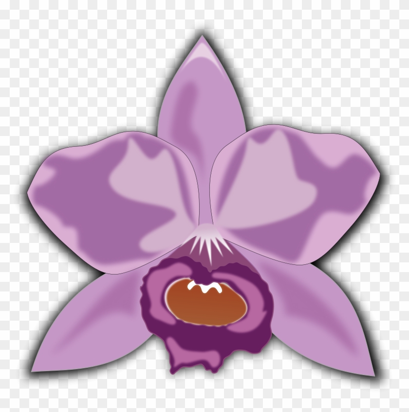 Pink Spring Flower Png Clipart - Cattleya Clipart Transparent Png #3622468