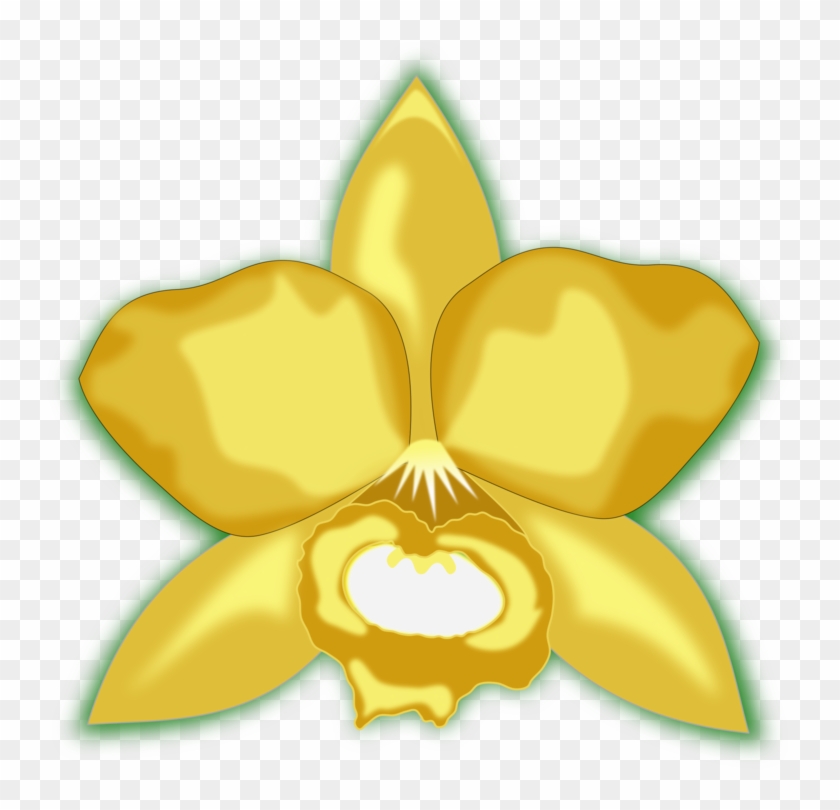 Orchids Christmas Orchid Petal Flowering Plant - Kartun Bunga Anggrek Kuning Clipart