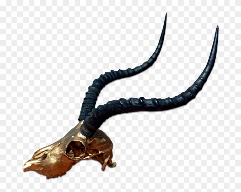 Real Impala Skull Bronze Spray Painted Metal Bracket - Horn Clipart