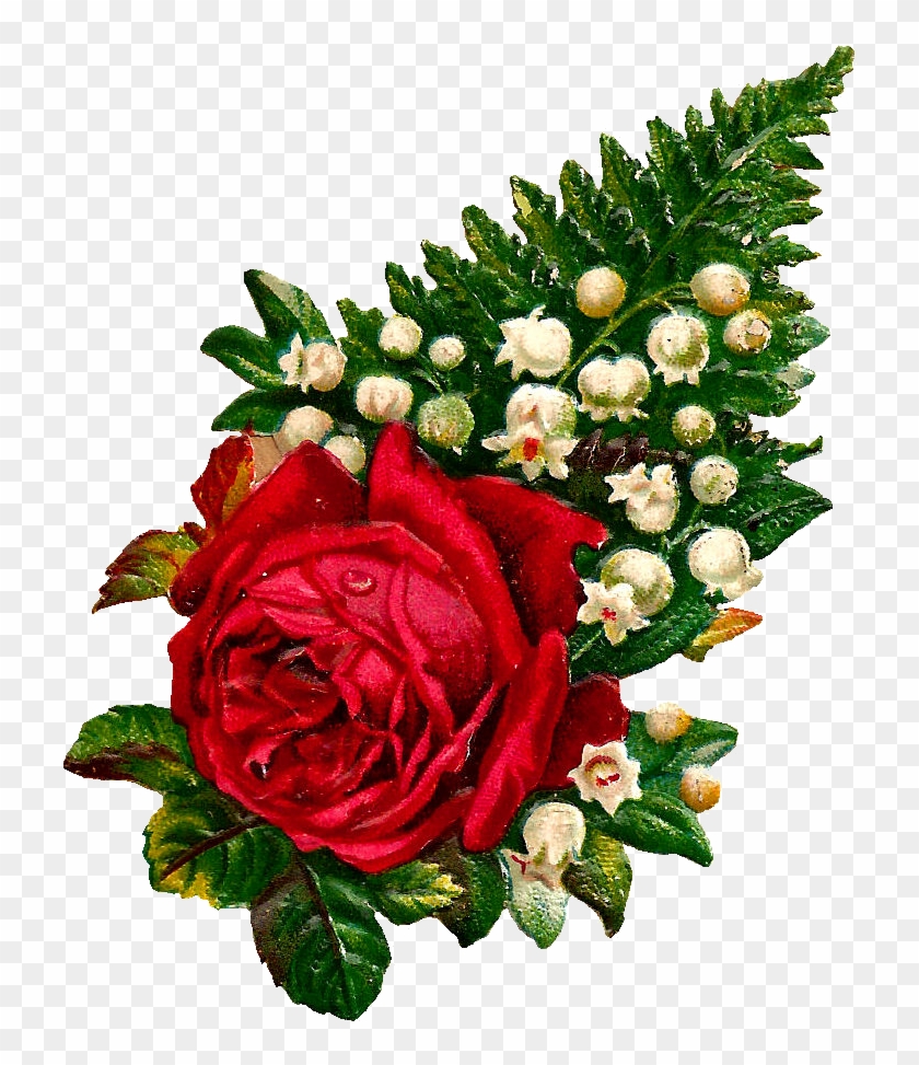 What A Beautiful Digital Red Rose Graphic I Love This Clipart