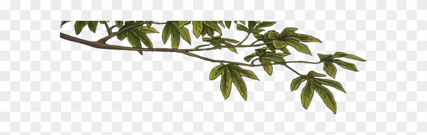 Clip Art - Png Download