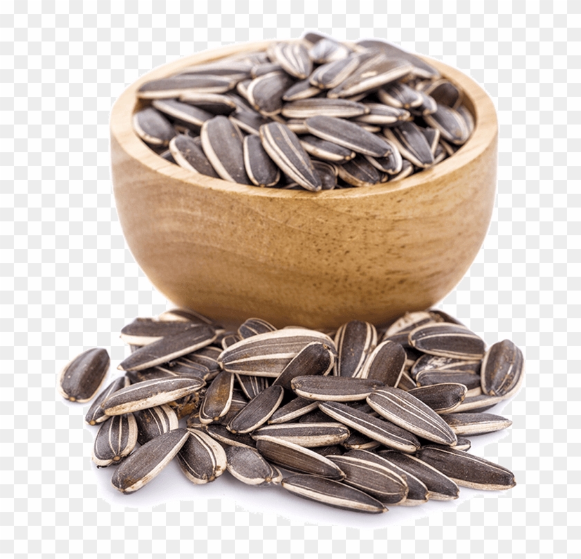 Sunflower Seeds Come From, Of Course, Sunflowers - Sunflower Seed Clipart #3623965