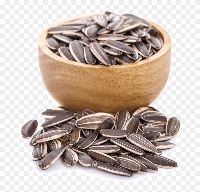 Sunflower Seeds Come From, Of Course, Sunflowers - Sunflower Seed Clipart