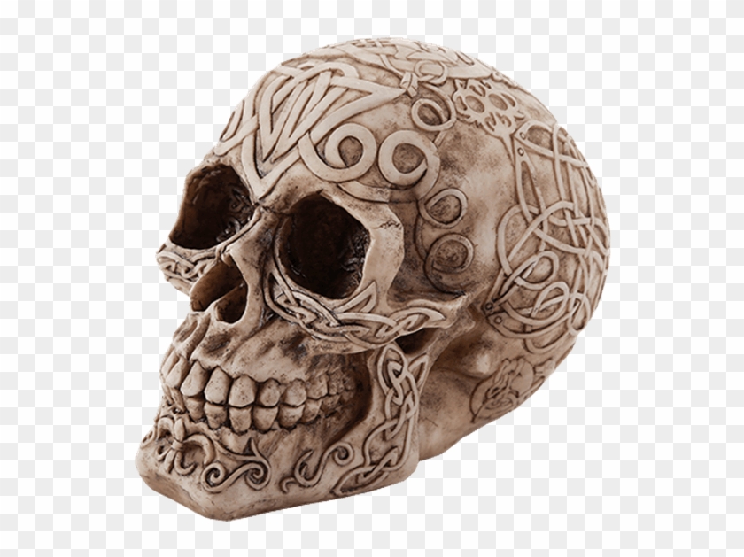 Price Match Policy - Skull Clipart #3624119