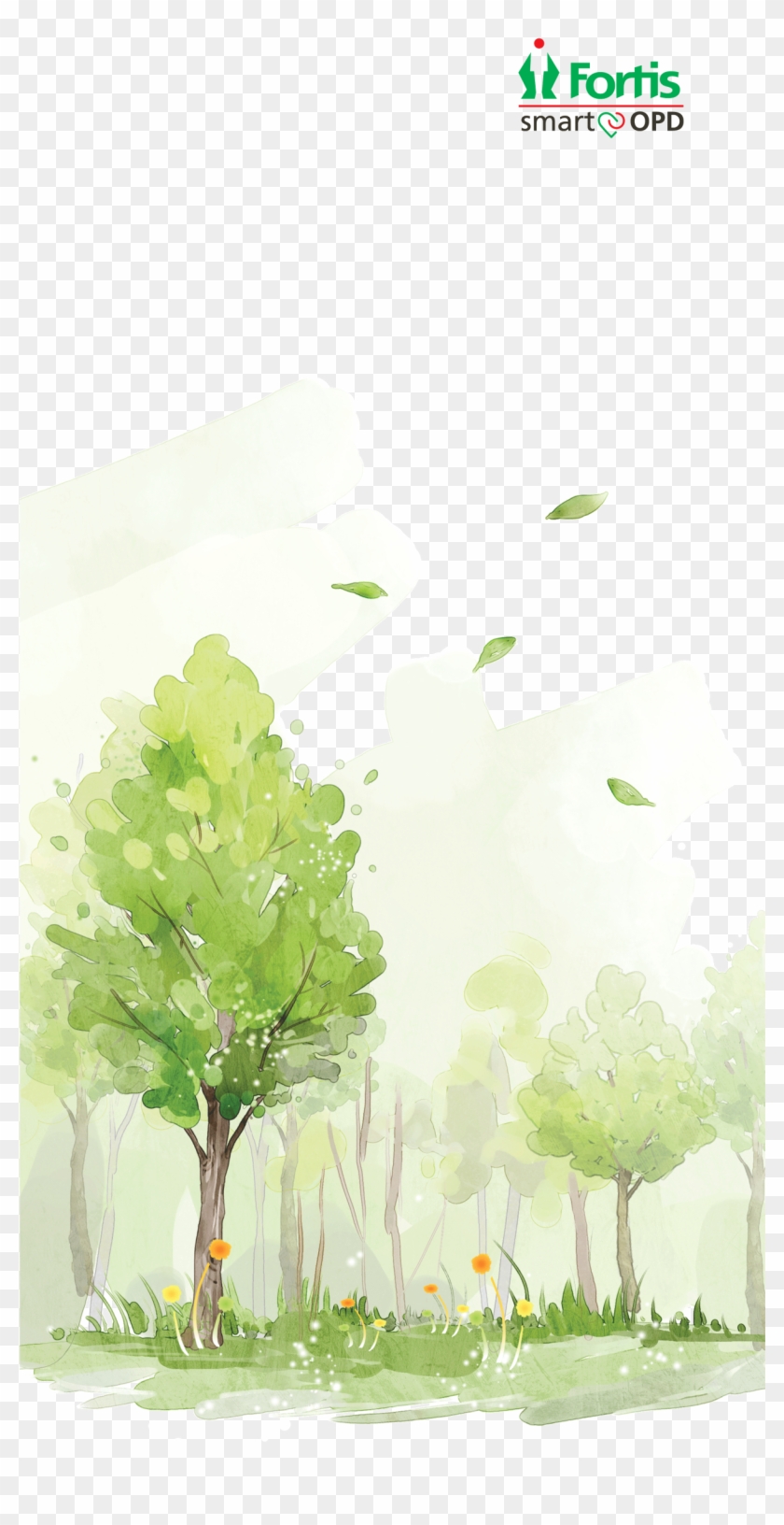 Fortis Malar Hospital - Maidenhair Tree Clipart