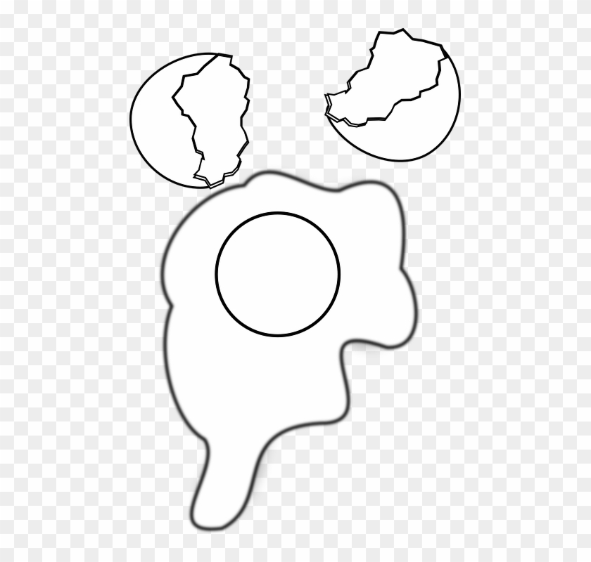 Eggshell Egg Yolk Egg White Broken Egg Cracked Egg - 깨진 달걀 Png Clipart