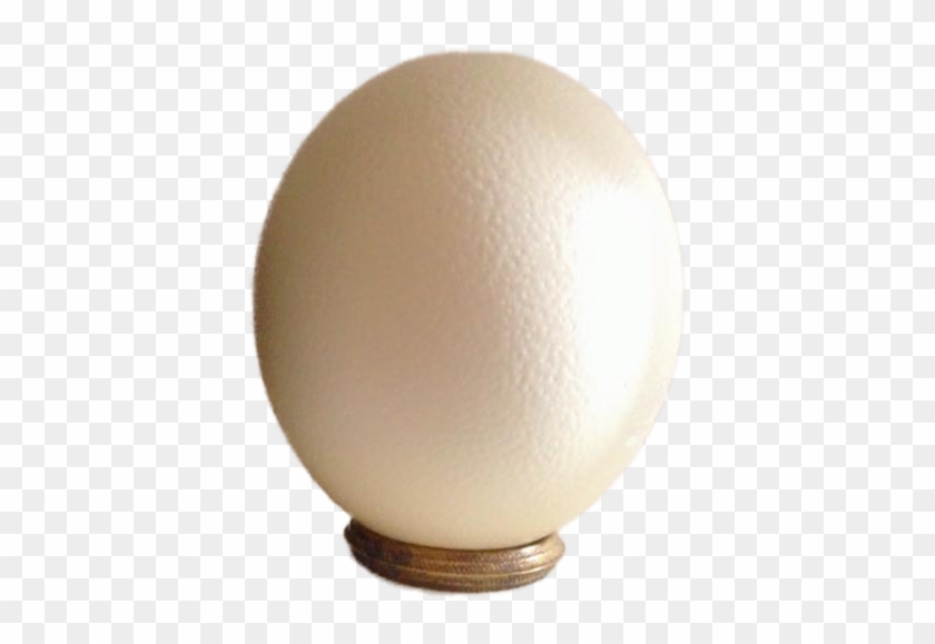 Ostrich Eggs Png - Egg Clipart
