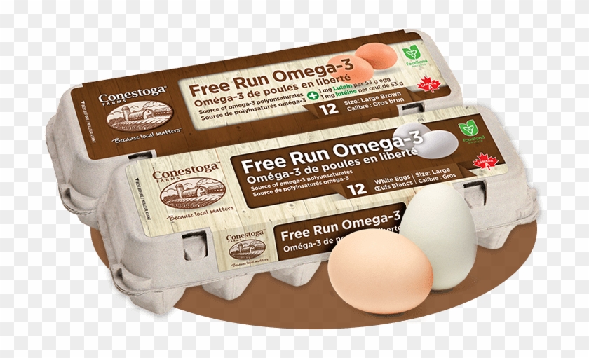 Free Run Omega 3 Eggs - Free Run Eggs Canada Clipart #3625701