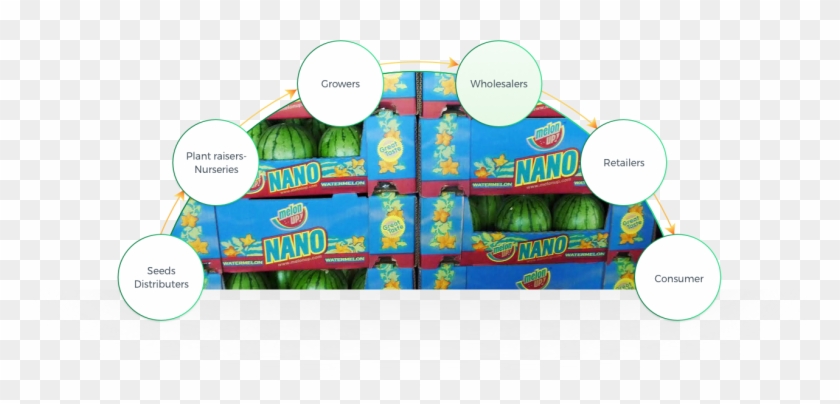 Origene Seeds Lead To A Significant Contribution For - Cartoon Clipart #3626217