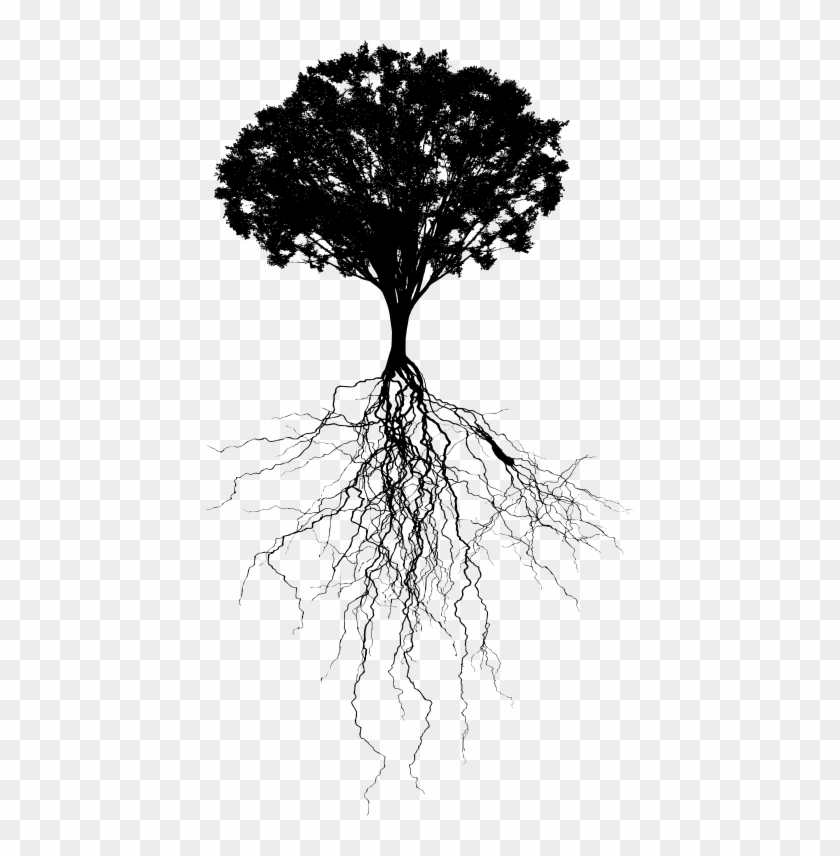 Download Free Png With - Tree With Roots Silhouette Clipart