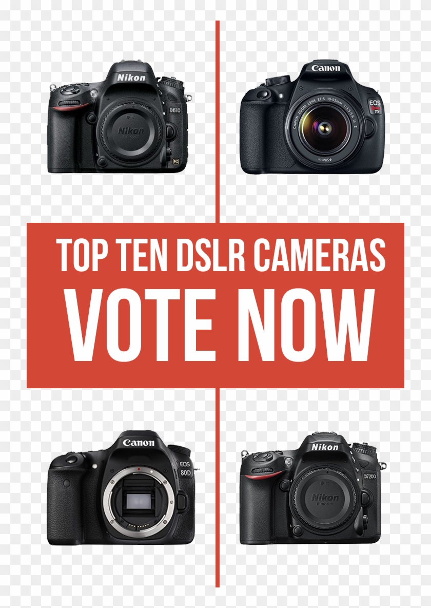 The Best Camera For Photography In 2019 - Canon 60d 70d 80d Clipart