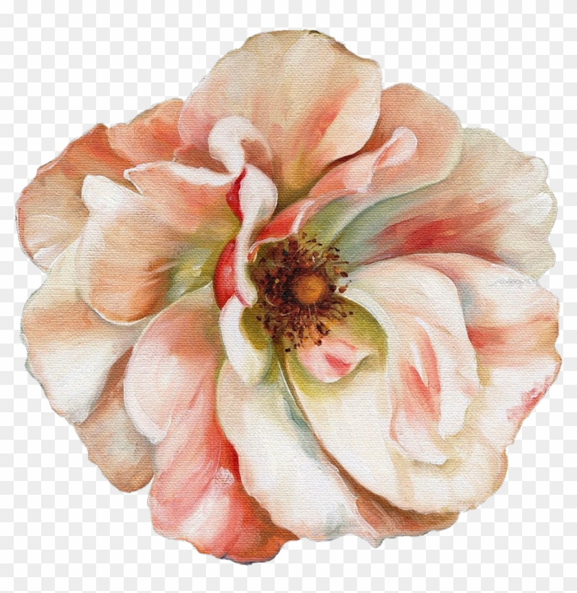 ##png #polyvore #pngs #cosmosfullofsunlight #rippolyvore - Renaissance Flowers Png Clipart #3627493