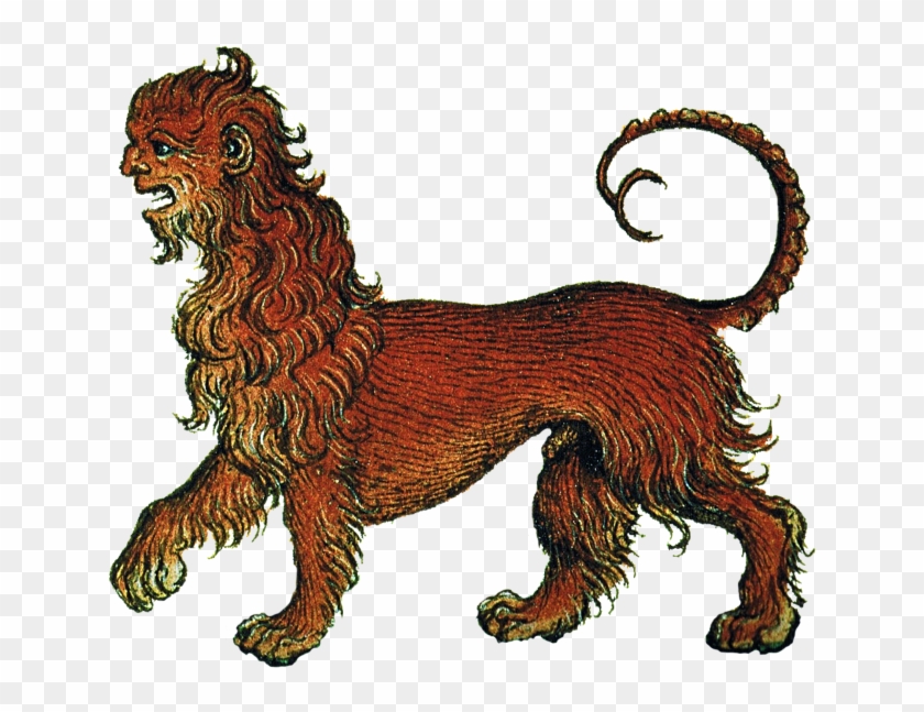 Manticore Web - Masai Lion Clipart #3627494