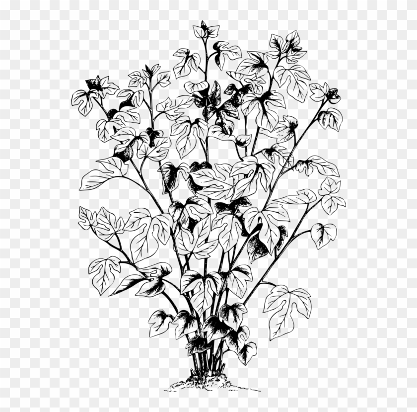 Leaf , Png Download - Line Art Clipart