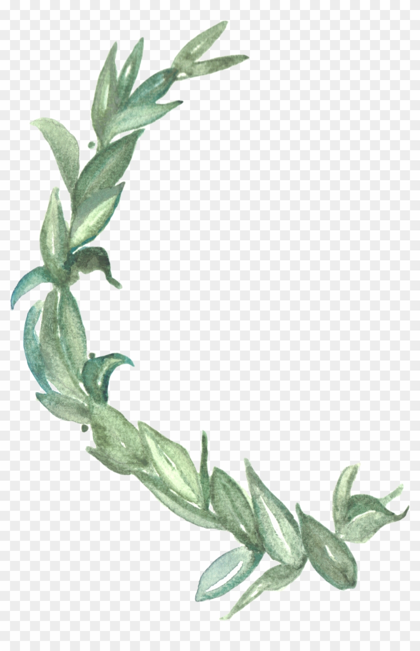 Solomon's Seal Clipart #3628753