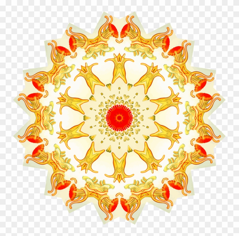 Computer Icons Bulletin Board Download Arbel Drawing - Ernst Haeckel Clipart #3630477