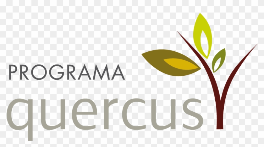 Nuestro Destino Será Uno De Los Terrenos En Custodia - Bauer Media Group Clipart