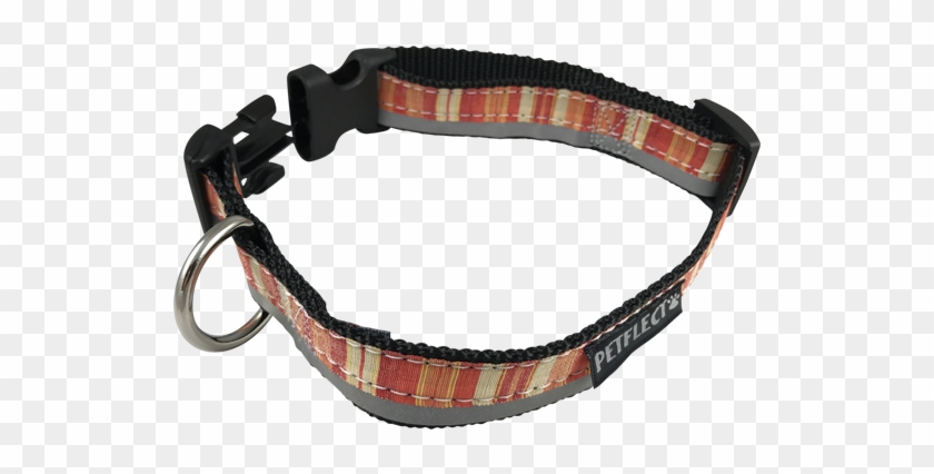 Petflect Orange Vertically Striped Dog Collar - Strap Clipart