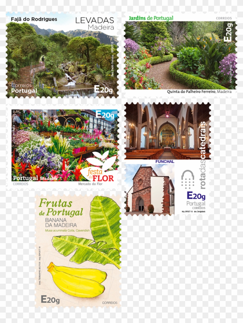 Madeira Self-adhesive - Botanical Garden Clipart