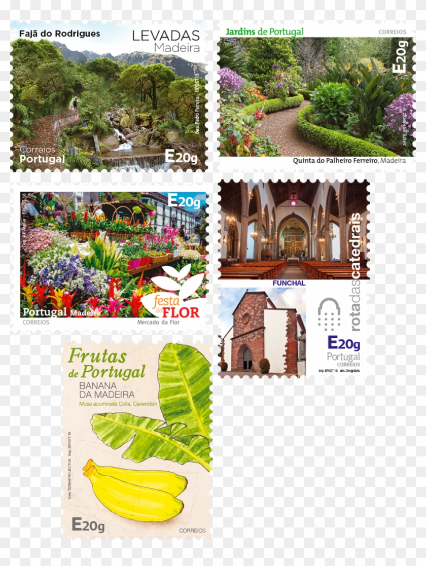 Madeira Self-adhesive - Botanical Garden Clipart #3630692