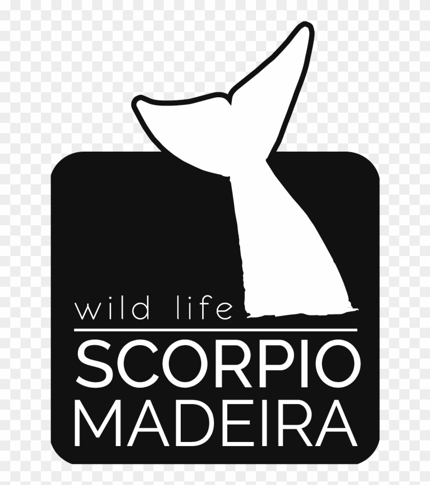 Madeira Wild Life - Illustration Clipart