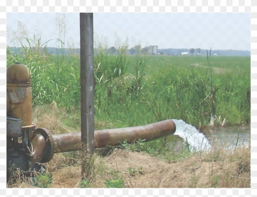 Tree Clipart #3630789